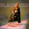 Blackbird – Body Language