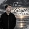 CJ Laterveer – Grijze dagen